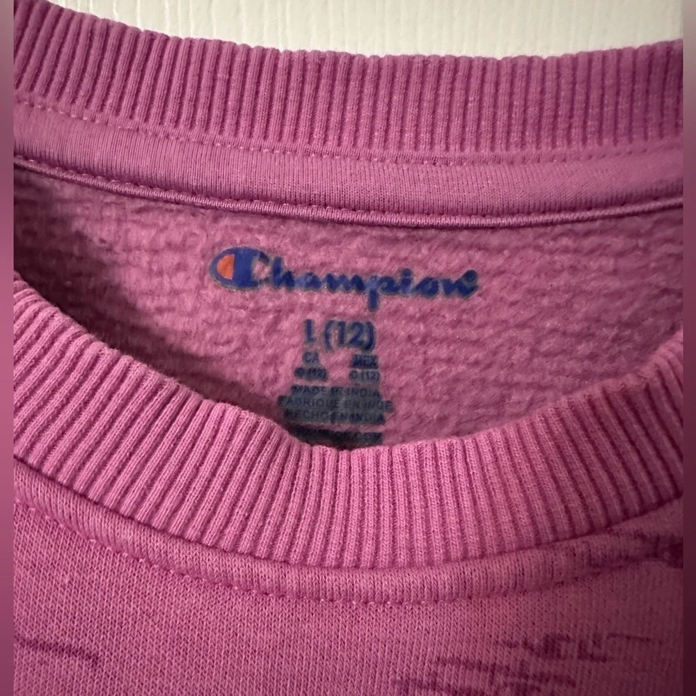 2 PIECE SET Champion Kids  Pink Sweatpants And Sweater